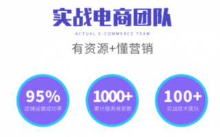 电子商务运营方案模板，电子商务运营方案模板范文