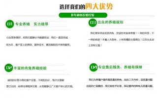 泉州代运营，泉州代运营公司