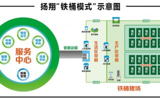 公司正式投入运营，新公司即将投入运营