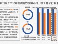 运营及偿债能力，运营及偿债能力分析报告