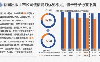 运营及偿债能力，运营及偿债能力分析报告