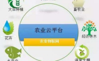 渠道智慧运营中心，渠道智慧运营中心是干嘛的
