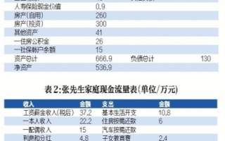 家庭养老运营计划，家庭养老运营计划书
