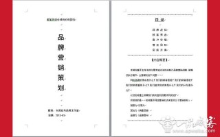 网店运营策划案，网店运营策划案模板