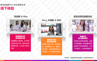 快手网红运营，快手网红运营团队