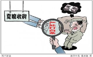 中储粮的运营，中储粮的运营模式是怎样的？