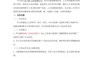 推广运营合同，推广运营合同怎么写