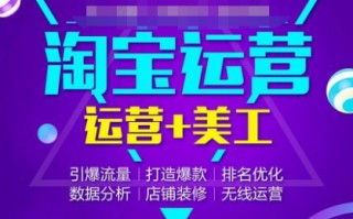 网店运营与推广教材，网店运营与推广教材电子版