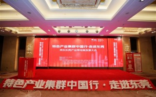 东莞运营服务公司，东莞运营服务公司有哪些