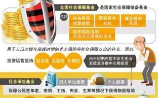 社会保险基金投资运营，社会保险基金投资运营的原则