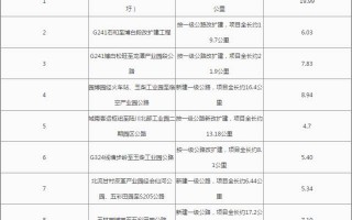 建设期 运营期，建设期运营期还有个什么时期