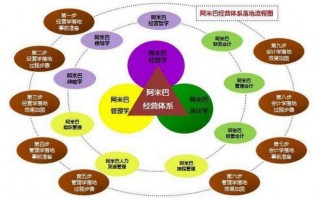 敦豪 运营模式，敦豪运营模式分析