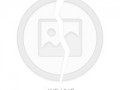 公司运营状况绩效评估，公司运营状况绩效评估报告