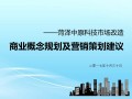 商业策划运营公司，商业策划运营公司十大公司