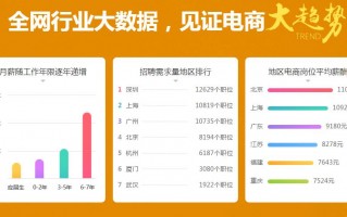 电商高级运营，电商高级运营师