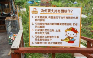 农场农场运营租赁，农场租赁一年多少钱