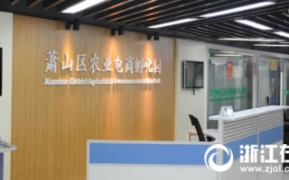 实体店线上运营，实体店线上运营方案