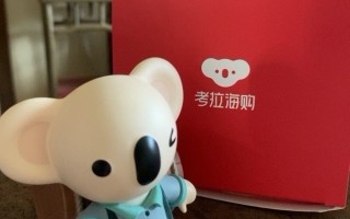 考拉海淘运营，考拉海淘运营怎么样