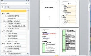 2017公司运营计划，2021年公司运营计划
