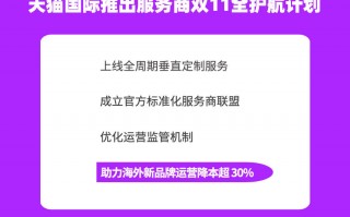 天猫品牌运营计划ppt，天猫品牌运营计划
