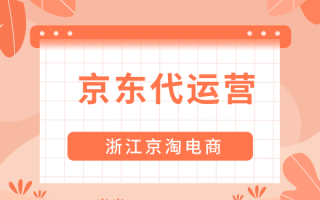 广州 京东代运营，京东代运营公司