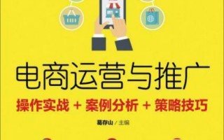 电商运营推广案例，电商运营推广方案怎么写